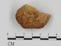 登錄號:F0016501藏品圖，第1張