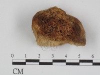 登錄號:F0016501藏品圖，第3張