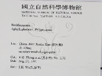 登錄號:F0016502藏品圖，第2張