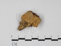 登錄號:F0016502藏品圖，第1張