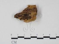 登錄號:F0016502藏品圖，第3張