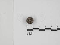 登錄號:F0016503藏品圖，第1張