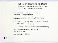 登錄號:F0016504藏品圖，第2張