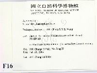 登錄號:F0016506藏品圖，第2張