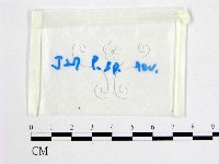 登錄號:F0016506藏品圖，第1張