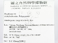 登錄號:F0016508藏品圖，第2張