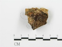 登錄號:F0016508藏品圖，第7張