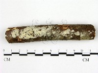 登錄號:F0016509藏品圖，第1張