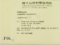 登錄號:F0016511藏品圖，第2張