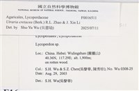 登錄號:F0016511藏品圖，第3張