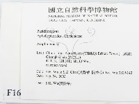 登錄號:F0016512藏品圖，第2張
