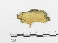 登錄號:F0016512藏品圖，第1張