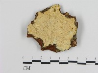 登錄號:F0016513藏品圖，第1張