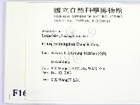 登錄號:F0016517藏品圖，第2張