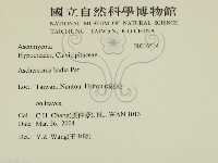 登錄號:F0016519藏品圖，第2張
