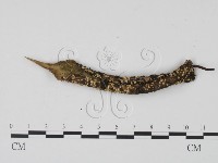 登錄號:F0016519藏品圖，第3張