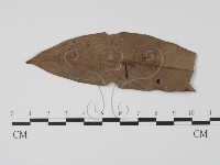 登錄號:F0016521藏品圖，第3張