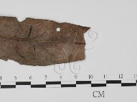 登錄號:F0016521藏品圖，第4張