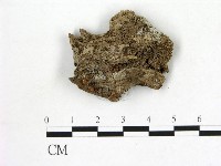 登錄號:F0016522藏品圖，第1張