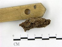 登錄號:F0016522藏品圖，第3張