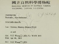 登錄號:F0016524藏品圖，第2張