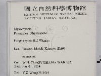登錄號:F0016527藏品圖，第2張