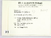 登錄號:F0016529藏品圖，第2張