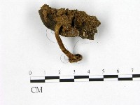 登錄號:F0016530藏品圖，第1張