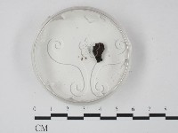 登錄號:F0016532藏品圖，第1張