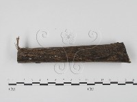 登錄號:F0016534藏品圖，第1張