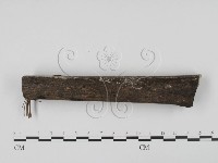 登錄號:F0016534藏品圖，第3張