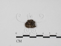 登錄號:F0016535藏品圖，第1張