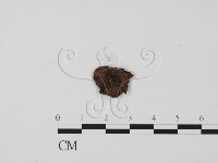 登錄號:F0016535藏品圖，第3張