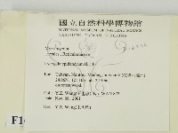 登錄號:F0016536藏品圖，第2張