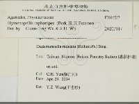 登錄號:F0016537藏品圖，第2張