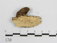 登錄號:F0016539藏品圖，第1張