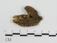 登錄號:F0016539藏品圖，第3張