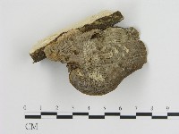 登錄號:F0016540藏品圖，第1張