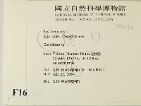 登錄號:F0016544藏品圖，第2張