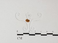 登錄號:F0016544藏品圖，第1張