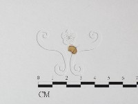 登錄號:F0016544藏品圖，第3張