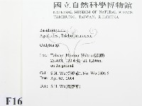 登錄號:F0016547藏品圖，第2張