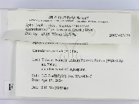 登錄號:F0016548藏品圖，第2張