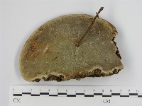 登錄號:F0016548藏品圖，第4張