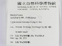 登錄號:F0016549藏品圖，第2張