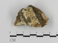 登錄號:F0016549藏品圖，第1張