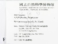 血紅密孔菌藏品圖，第2張