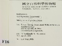 登錄號:F0016553藏品圖，第2張