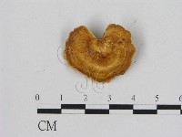 登錄號:F0016553藏品圖，第1張