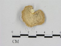 登錄號:F0016553藏品圖，第3張